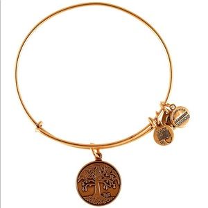 Alex and Ani Charm Expandable Wire Bracelet